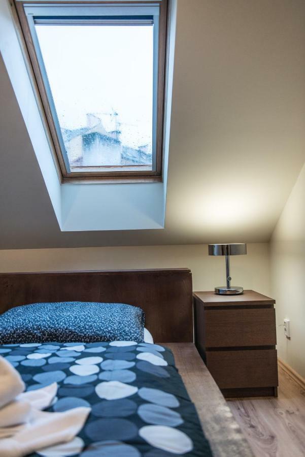 Spacious And Quiet Attic Flat In Centre פראג
